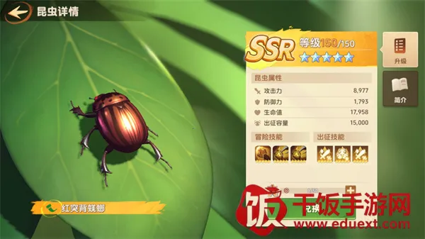 小小幸存者游戏 小小幸存者游戏