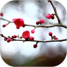 ÷�������ʼ�2026�ٷ����°汾v1.5.4 �ٷ�����