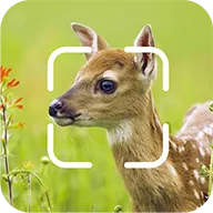 TrailCam Go�����ֻ���