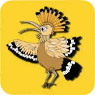 The Birds����Ϸ���ѽ�����ȸ��(����������Ϸ)