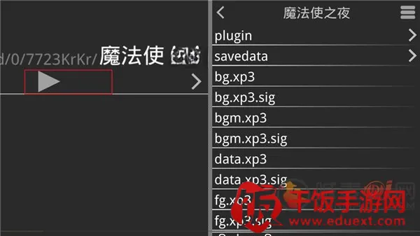魔法使之夜直装版(视觉小说游戏)
