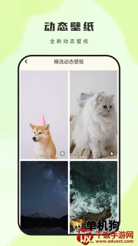 ��ͼ��ֽ(�ֻ���ֽ����)