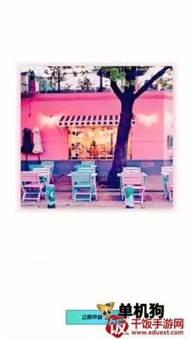 ��ӯ���2026�ٷ����°汾