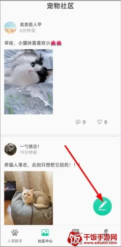 Cat Translation(猫语翻译工具) Cat Translation(猫语翻译工具)