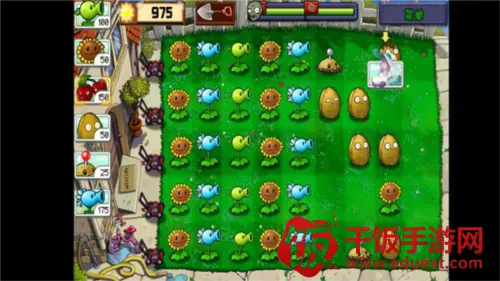 ֲ�����ս��ʬ���°�