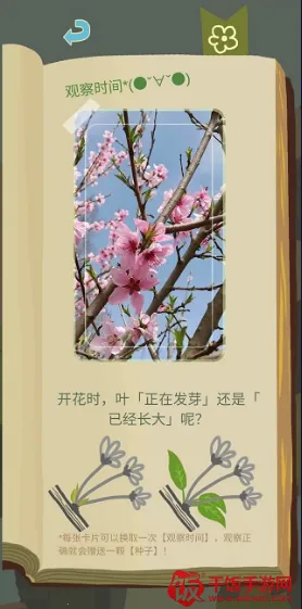 ��ũ������������(�ǿչ۲���Ϸ)