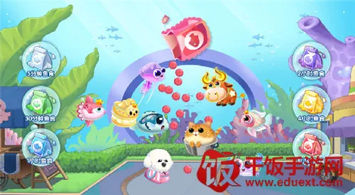 �����������ڹ�