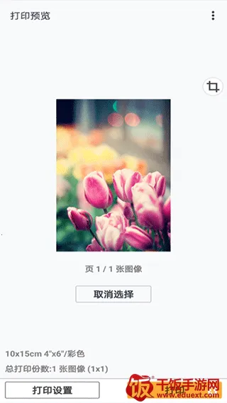 Canon PRINT�����ֻ���