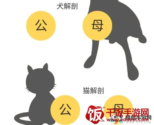 3dbody��������