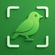 ʶ��(����ʶ�𹤾�)