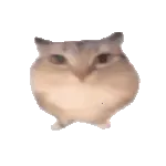 �ͰͲ�һ2026�ٷ�����