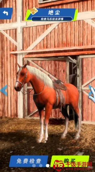 赛马也疯狂无限金币免广告 赛马也疯狂无限金币免广告