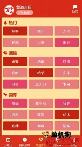 199������(������ѯ����)