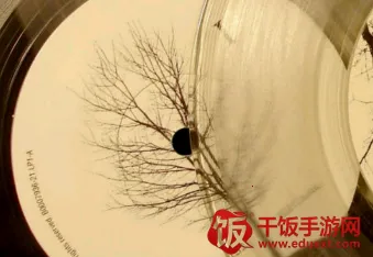 ȫ�����ֲ�����(���ֲ�������)