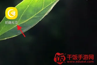 奶酪辅助2026下载安装 奶酪辅助2026下载安装