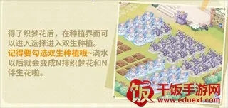 织梦森林2026官方最新版本 织梦森林2026官方最新版本