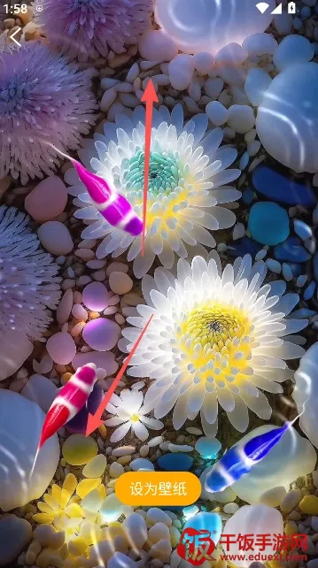 锦鲤金鱼壁纸(壁纸软件功能全) 锦鲤金鱼壁纸(壁纸软件功能全)