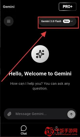 GeminiPro(����AI����)