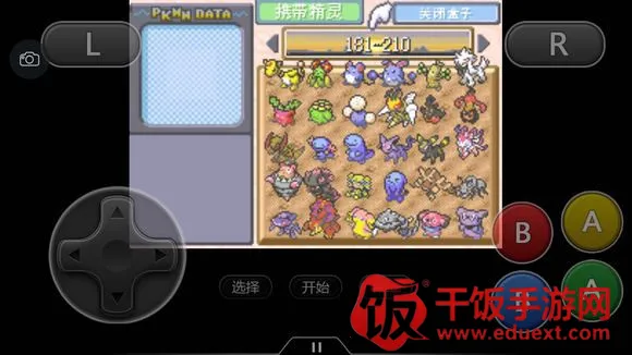 �ڴ������εĹ��(�ڴ������εĹ��)