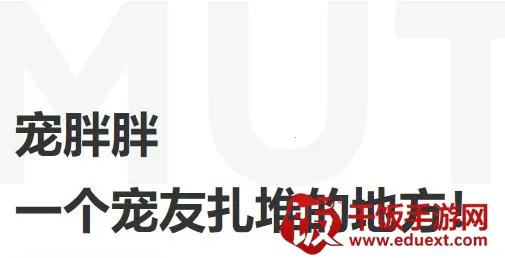 ������(�ǻ�������Ϸ)