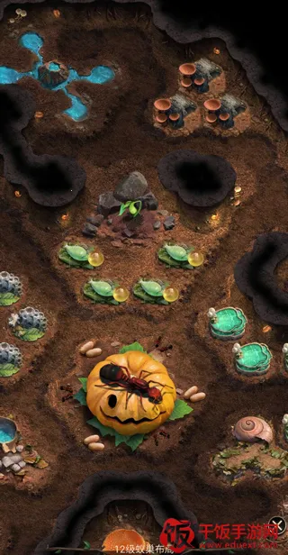 The Ants2026官方正版 The Ants2026官方正版