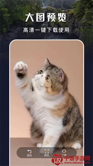 主题盒壁纸 主题盒壁纸