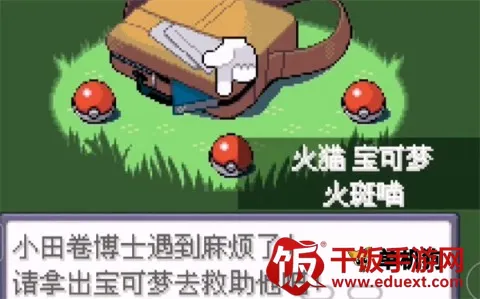 �ڴ�����Ů����2026�ٷ�����