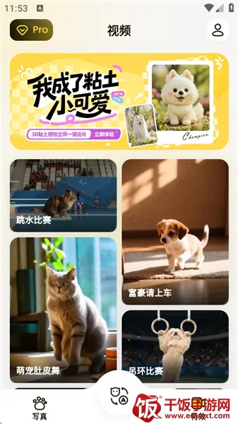 ����(�������蹤��)