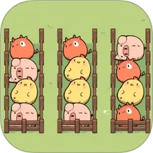 �ʱ���ǰ��(������������)