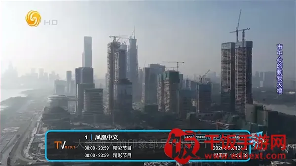 低调TV电视(电视直播软件) 低调TV电视(电视直播软件)