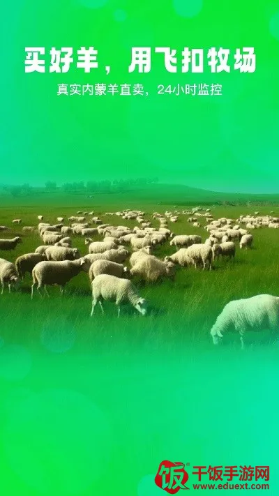 �ɿ�2026���ذ�װ