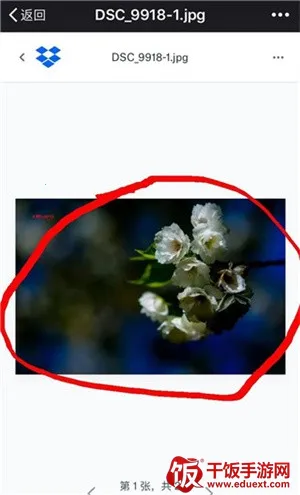dropbox最新手机版 dropbox最新手机版