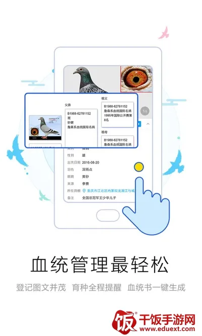 爱鸽者2026最新版本 爱鸽者2026最新版本