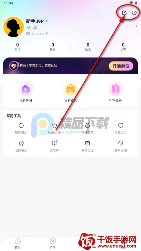 Ԫ������(�����罻����)