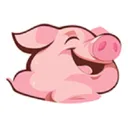 ������2026�ٷ�����