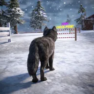 ��ģ���� 3D��׿���ֻ���v1.0.6 �ֻ���