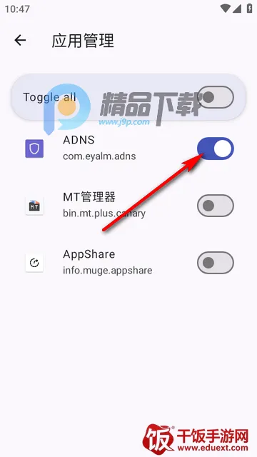 ADNS广告拦截软件 ADNS广告拦截软件