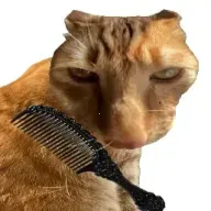 ��è��ë��׿���ֻ���v1.0 ��Ѱ�