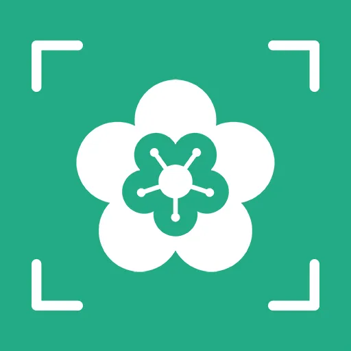 AI����ʶ��(����ʶ�﹦��)v1.0.4 �ٷ�����