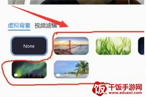 Zoom(视频会议软件) Zoom(视频会议软件)