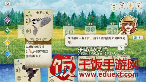 展翅翱翔2026最新版本 展翅翱翔2026最新版本