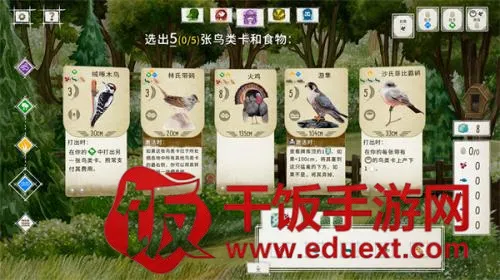 展翅翱翔2026最新版本 展翅翱翔2026最新版本
