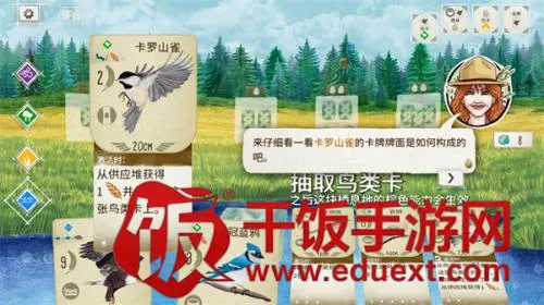 展翅翱翔2026最新版本 展翅翱翔2026最新版本