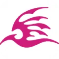 �ɼ��ٶ���2026�ٷ�����v2.2.0 ��Ѱ�