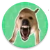 �󹷽�������2026���°汾v1.03 ��׿��