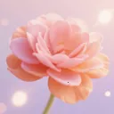 үү�İٲ��û���2026���°汾
