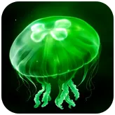 ��ˮĸeggjelly(�̾粥������)v2.5 �ٷ�����