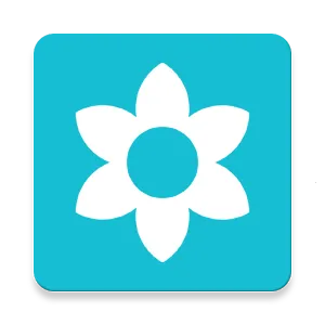 ʵ��Liveת����2026�ٷ�����